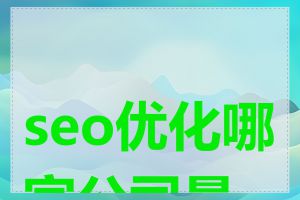 seo优化哪家公司最好