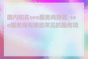 国内知名seo服务商排名_seo服务商有哪些常见的服务项目