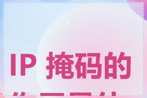 IP 掩码的作用是什么