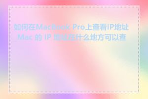 如何在MacBook Pro上查看IP地址_Mac 的 IP 地址在什么地方可以查看