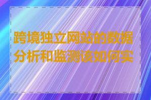 跨境独立网站的数据分析和监测该如何实施