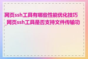 网页ssh工具有哪些性能优化技巧_网页ssh工具是否支持文件传输功能