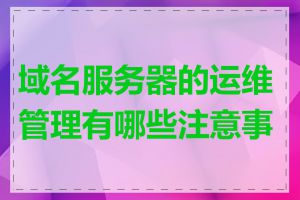 域名服务器的运维管理有哪些注意事项
