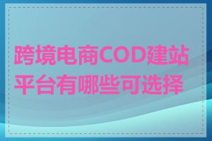 跨境电商COD建站平台有哪些可选择的