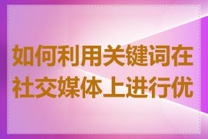 如何利用关键词在社交媒体上进行优化