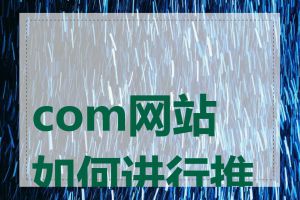 com网站如何进行推广