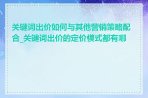 关键词出价如何与其他营销策略配合_关键词出价的定价模式都有哪些
