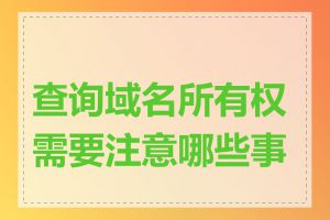 查询域名所有权需要注意哪些事项