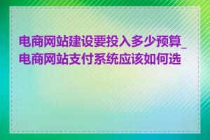 电商网站建设要投入多少预算_电商网站支付系统应该如何选择