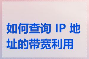 如何查询 IP 地址的带宽利用率