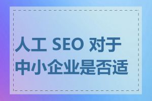 人工 SEO 对于中小企业是否适合