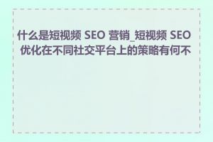 什么是短视频 SEO 营销_短视频 SEO 优化在不同社交平台上的策略有何不同