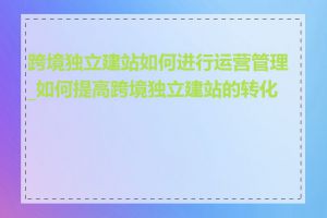跨境独立建站如何进行运营管理_如何提高跨境独立建站的转化率