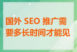 国外 SEO 推广需要多长时间才能见效
