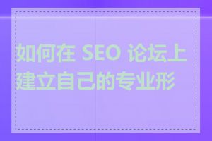 如何在 SEO 论坛上建立自己的专业形象