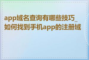 app域名查询有哪些技巧_如何找到手机app的注册域名