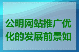 公明网站推广优化的发展前景如何