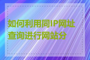 如何利用同IP网址查询进行网站分析