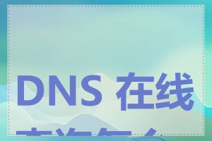DNS 在线查询怎么用
