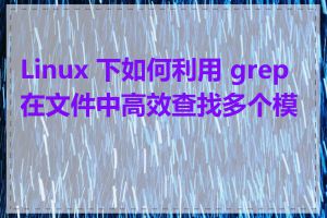 Linux 下如何利用 grep 在文件中高效查找多个模式
