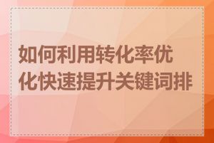 如何利用转化率优化快速提升关键词排名