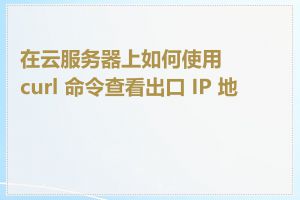 在云服务器上如何使用 curl 命令查看出口 IP 地址