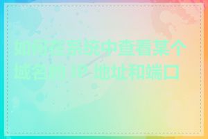 如何在系统中查看某个域名的 IP 地址和端口号