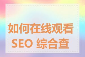 如何在线观看 SEO 综合查询