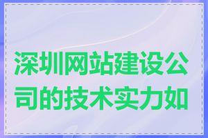 深圳网站建设公司的技术实力如何