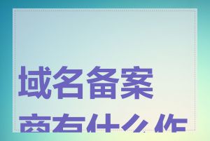 域名备案商有什么作用