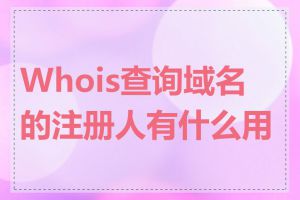 Whois查询域名的注册人有什么用途