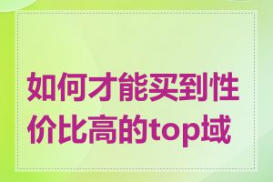 如何才能买到性价比高的top域名