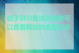 桔子SEO查域名历史可以查看网站的变更记录吗
