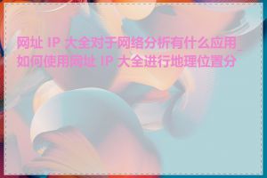 网址 IP 大全对于网络分析有什么应用_如何使用网址 IP 大全进行地理位置分析