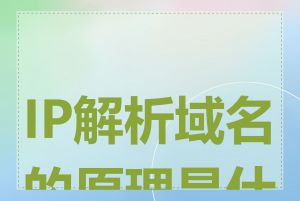IP解析域名的原理是什么