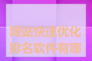 网站快速优化排名软件有哪些