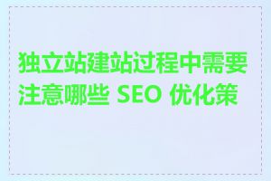 独立站建站过程中需要注意哪些 SEO 优化策略
