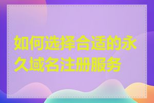 如何选择合适的永久域名注册服务商