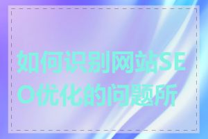 如何识别网站SEO优化的问题所在