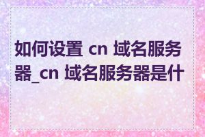 如何设置 cn 域名服务器_cn 域名服务器是什么