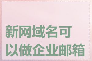 新网域名可以做企业邮箱吗