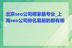 北京seo公司哪家最专业_上海seo公司排名靠前的都有哪些