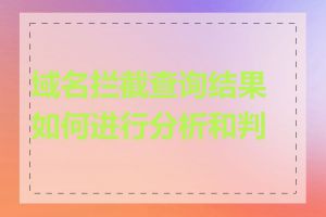 域名拦截查询结果如何进行分析和判断