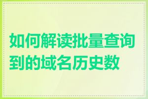 如何解读批量查询到的域名历史数据