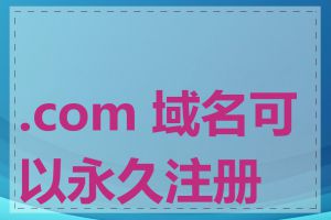 .com 域名可以永久注册吗