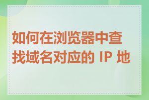 如何在浏览器中查找域名对应的 IP 地址