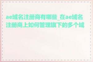 ae域名注册商有哪些_在ae域名注册商上如何管理旗下的多个域名