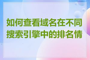 如何查看域名在不同搜索引擎中的排名情况