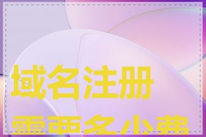 域名注册需要多少费用