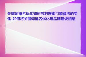 关键词排名优化如何应对搜索引擎算法的变化_如何将关键词排名优化与品牌建设相结合